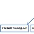 Реферат: Пищевые цепочки в природе